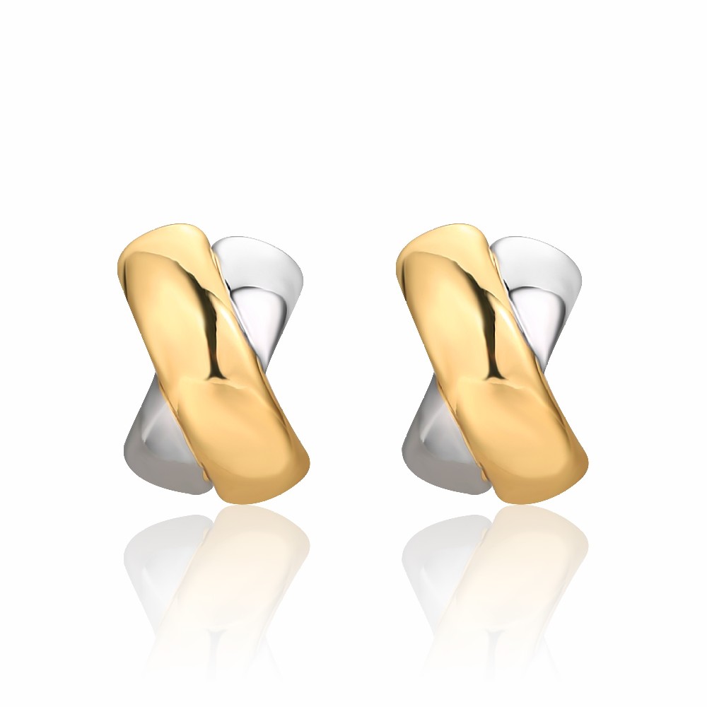 Two Tone Plated Brass Earrings for Women FJ026849E