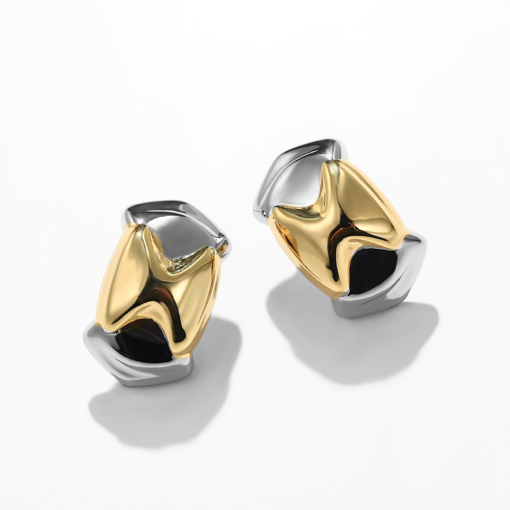 Wholesale Two-tone Plated Fashion Stud Earrings for Women FJ026857E