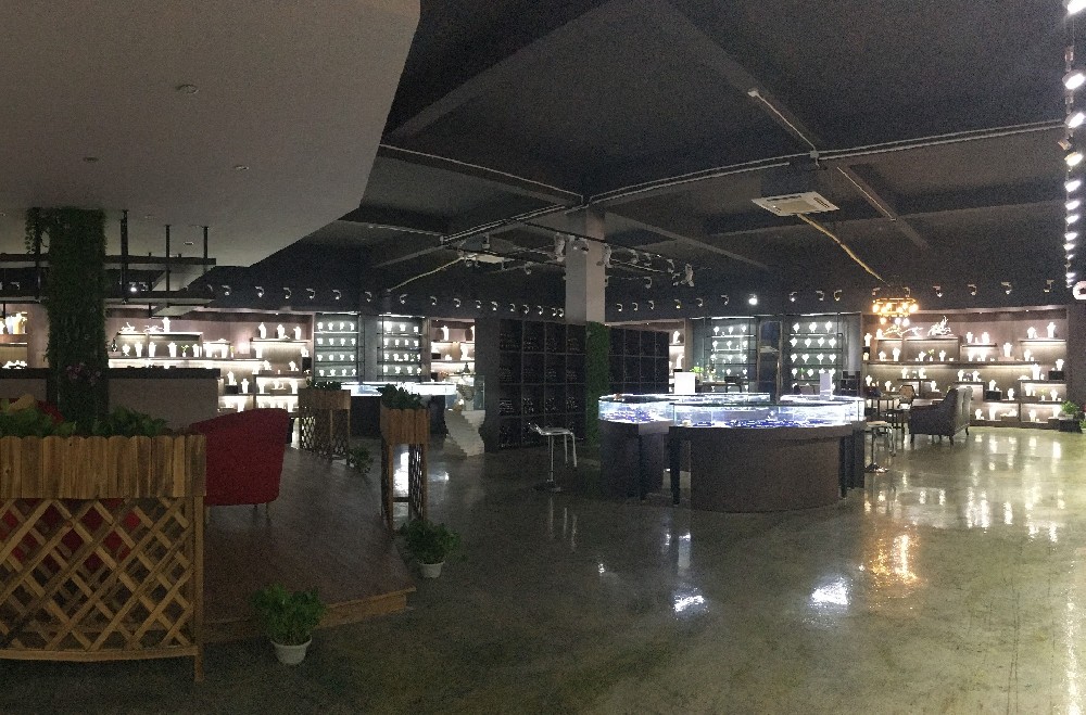 VANFI | Company Showroom